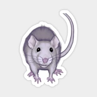 Cute Rat Drawing Magnet