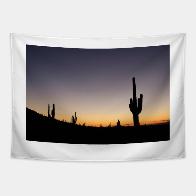 Sonoran Sunset Tapestry by somekindofguru