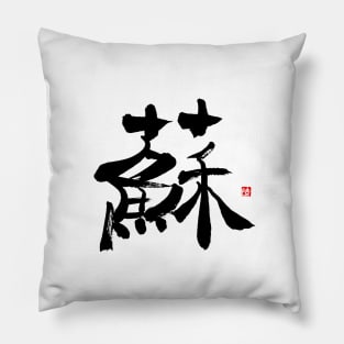 Resurrection 蘇 Japanese Calligraphy Kanji Character Pillow