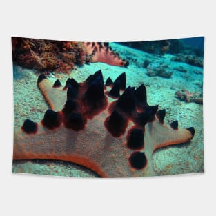 Protoreaster nodosus sea star Tapestry