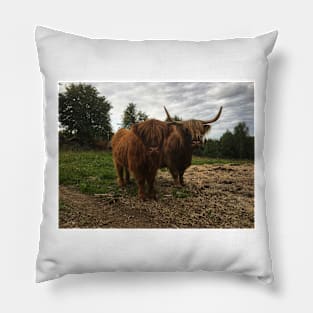 Scottish Highland Cattle Cow and Calf 2047 Pillow