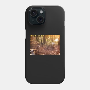 Into the woods Spinone Phone Case