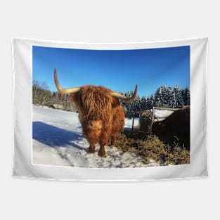 Scottish Highland Cattle Cow 1711 Tapestry