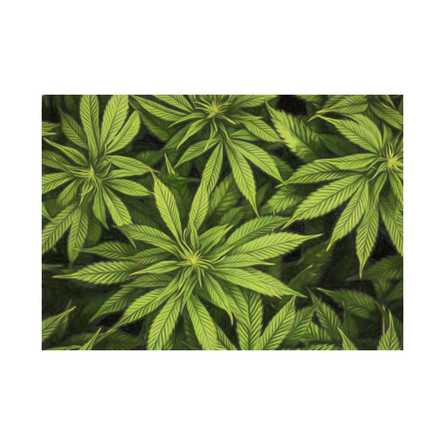 Hemp Plant Artwork by NikkiBear67