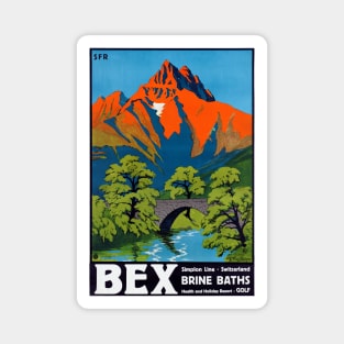 Vintage Travel Poster Bex Switzerland Brine Baths 1930 Magnet