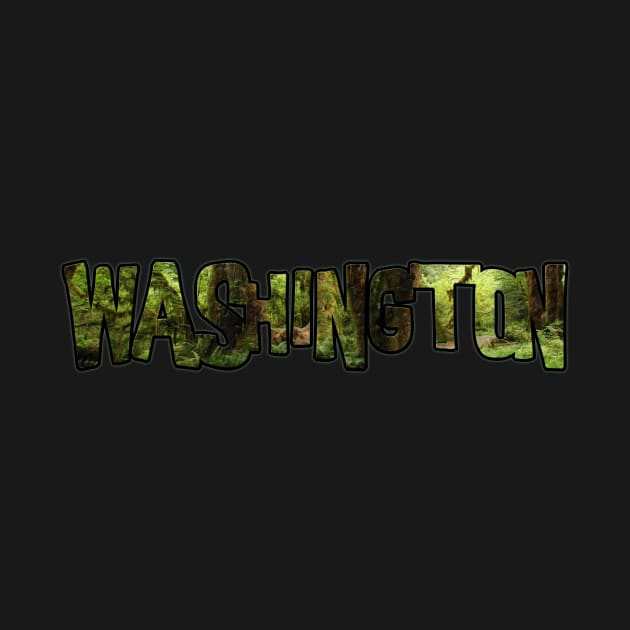 Washington (Forest View) by gorff