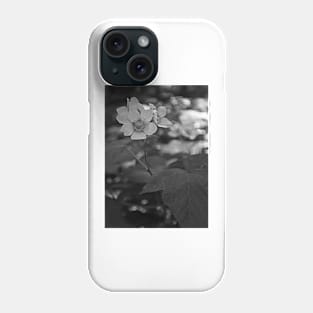 Glacier National Park Wild Flowers, black and white Phone Case