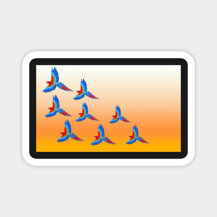 Macaw Magnet