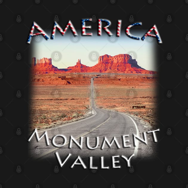 America - Arizona - road to Monument Valley by TouristMerch