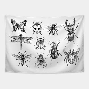 Insect Collection Tapestry