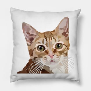 Orange Tabby Pillow