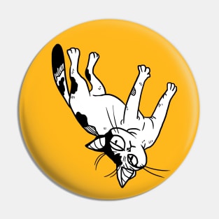 white & tortie girl judgy cat Pin