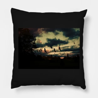 Sunset silhouette Pillow