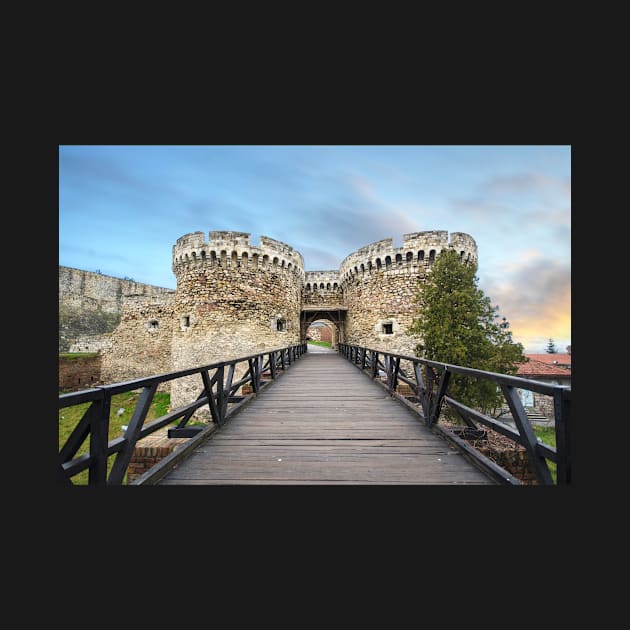 Kalemegdan Fortress in Belgrade, Serbia by mitzobs