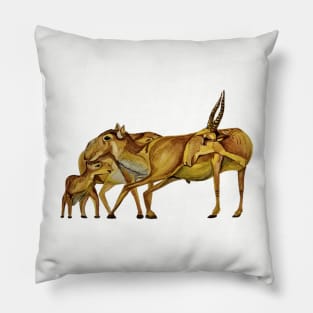 The Family of Saiga Antelope (Watercolour) Pillow