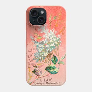 Lilac (Syringa Vulgaris) Phone Case