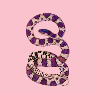 serpent,cobra,reptile,viper,venom,lizard,rattlesnake,king cobra,dragon,hydra,poison,venomous,plumber's snake,pythonidae,pythons,auger,python,squamata,serpentine,worm,big,ophidian,rattlesnakes,medusa,snakebite T-Shirt