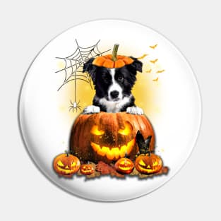 Border Collie Spooky Halloween Pumpkin Dog Head Pin