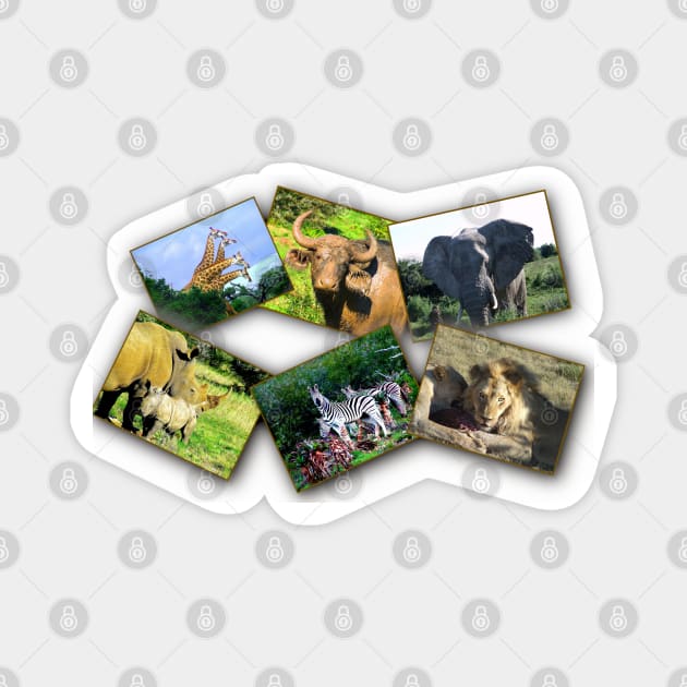 African Wildlife Photo Collage Magnet by PathblazerStudios