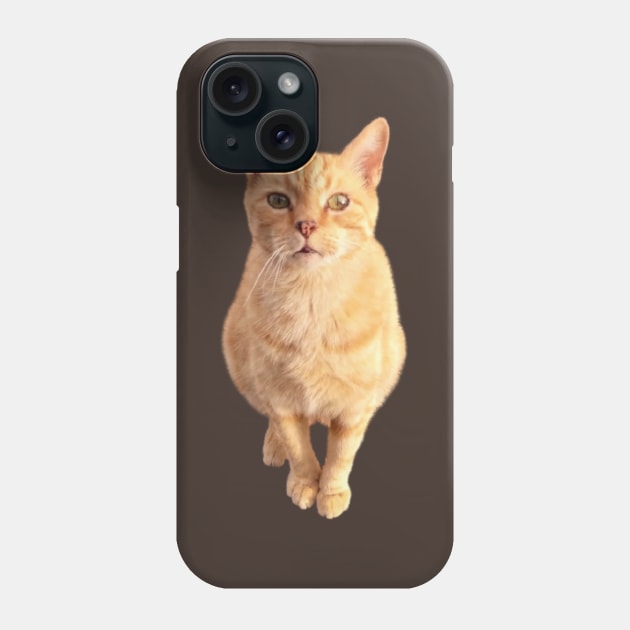 Ginger Cat Front On Phone Case by PLANTONE