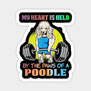 Cute poodle Magnet