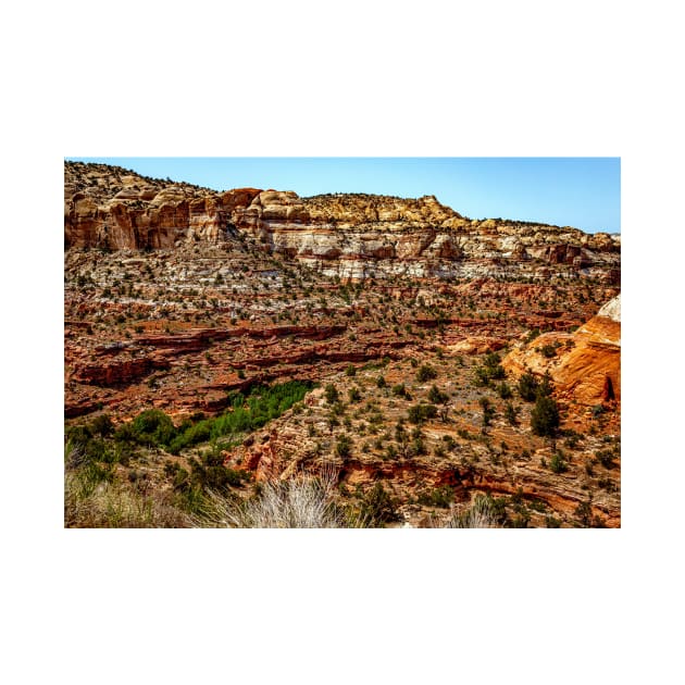 Utah Route State 12 Scenic Drive by Gestalt Imagery