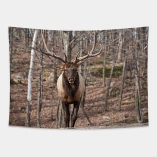 Elk Tapestry