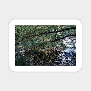 Impressionistic photography Magnet