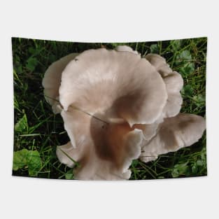 Funghi Tapestry