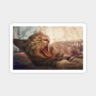 striped cat yawning Magnet