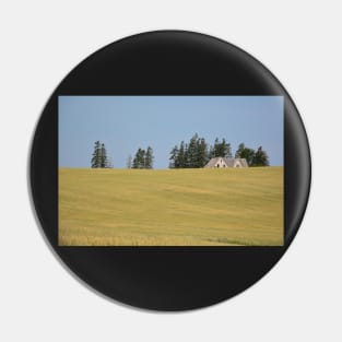 Decaying Farm House sinking in a sea of wheat . Pin