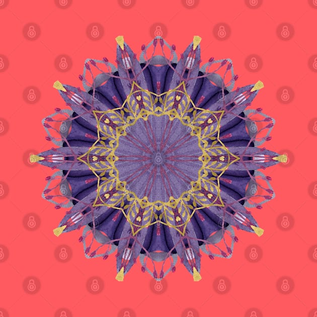 Early Spring Mandala by machare