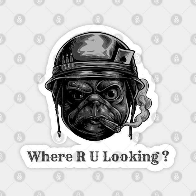 Where are you looking Magnet by Octagon