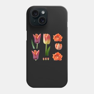 Tulipa 'Candy Corner' Triumph Tulip Phone Case