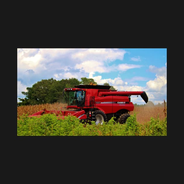 Harvest Time by Cynthia48