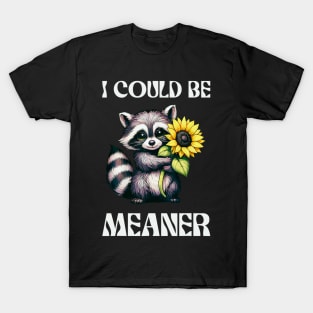 I Could Be Meaner... T-shirt - SJA Boutique