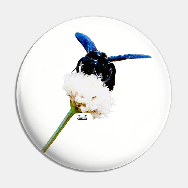 Blue Bee Pin by Wolf Art / Swiss Artwork Photography