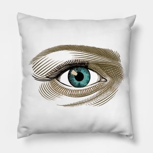 EYE SPY 3 Pillow