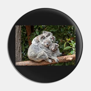 Cuddling Koalas, Cute As Can Be Pin