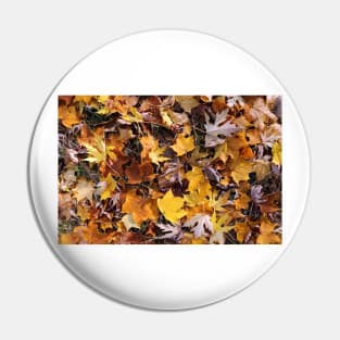 Autumn Leaves Pin