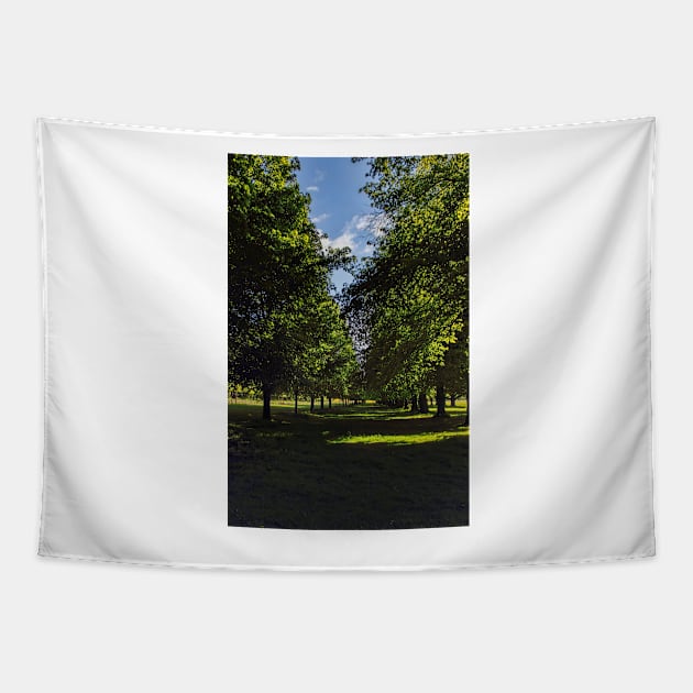 Avenue of trees Tapestry by avrilharris