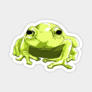 Green Tree Frog Magnet