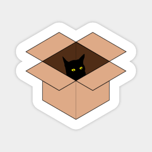 Cat in the Box Magnet