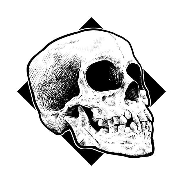 Skull line drawing by RogerPrice00x