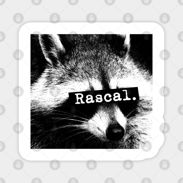 Raccoon Rascal Magnet by giovanniiiii