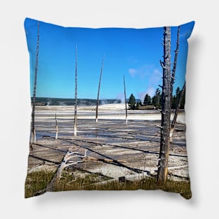 Dead Trees on the Geyser Pillow