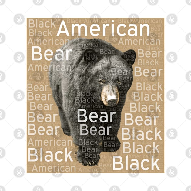 American Black Bear by AmazighmanDesigns