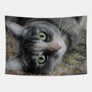 Cute Cat Relaxing Tapestry