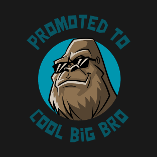 Promoted to Cool Big Bro T-Shirt