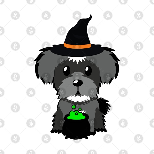 Cute schnazuer dog is a witch by Pet Station